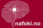 logo av en rød hjernelignende illustrasjon, teksten nafoki.no