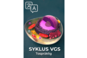 Syklus VGS Tospråklig